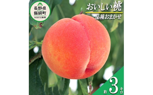 【 厳選品種 】 美味しい桃 3kg （ 品種おまかせ ） 配送先は本州限定 2026年8月上旬頃から2026年9月上旬頃まで順次発送予定 ふるさと振興公社 桃 もも モモ 長野県 飯綱町 [0143]