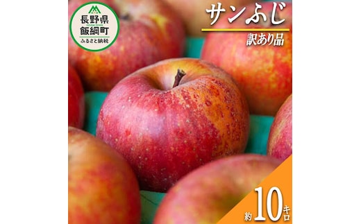【 訳あり品 】 りんご サンふじ 訳あり 10kg 2026年12月上旬頃から2027年2月下旬頃まで順次発送予定 ふるさと振興公社 リンゴ 林檎 長野県 飯綱町 [0289]