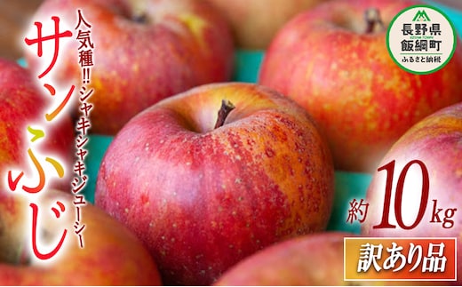 【 訳あり品 】 りんご サンふじ 訳あり 10kg 2025年12月上旬頃から2026年2月下旬頃まで順次発送予定 ふるさと振興公社 リンゴ 林檎 長野県 飯綱町 [0289]