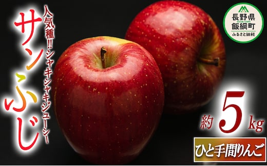 【 ひと手間りんご 】 りんご サンふじ 5kg 2025年12月中旬頃から2025年12月下旬頃まで順次発送予定 ふるさと振興公社 リンゴ 林檎 長野県 飯綱町 [1433]