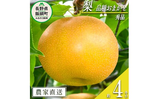梨 朝どれ 和梨 秀品 4kg 以上 配送先は本州限定 2026年9月上旬頃から2026年10月上旬頃まで順次発送予定 窪田農園 令和8年度収穫分 除草剤不使用 長野県 飯綱町 [1468]