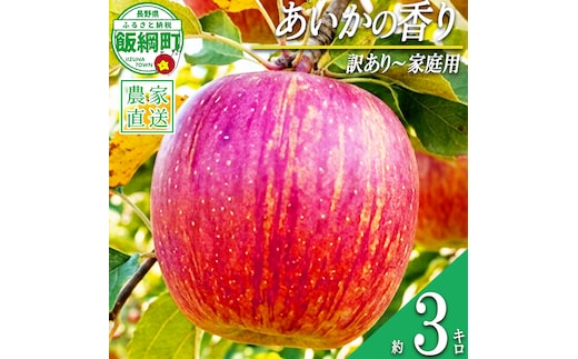 りんご あいかの香り 訳あり 家庭用 訳あり 3kg 米澤農園 沖縄県への配送不可 2026年11月中旬頃から2026年11月下旬頃まで順次発送予定 令和8年度収穫分 リンゴ 林檎 果物 フルーツ 信州 長野 予約 農家直送 長野県 飯綱町 [1461]