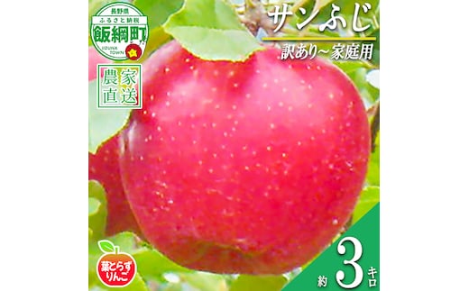 りんご 葉とらず サンふじ 家庭用 訳あり 3kg 米澤農園 沖縄県への配送不可 2026年11月下旬頃から2026年12月下旬頃まで順次発送予定 令和8年度収穫分 傷 不揃い リンゴ 林檎 果物 フルーツ ふじ 信州 長野 予約 農家直送 長野県 飯綱町 [1462]