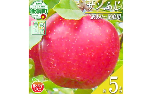 りんご 葉とらず サンふじ 家庭用 訳あり 5kg 米澤農園 沖縄県への配送不可 2026年11月下旬頃から2026年12月下旬頃まで順次発送予定 令和8年度収穫分 傷 不揃い リンゴ 林檎 果物 フルーツ ふじ 信州 長野 予約 農家直送 長野県 飯綱町 [0901]