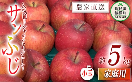 りんご サンふじ 家庭用 ( 小玉 ) 5kg 原山農園 沖縄県への配送不可 2026年1月上旬頃から2026年3月上旬頃まで順次発送予定 令和7年度収穫分 信州 果物 フルーツ リンゴ 林檎 長野 予約 農家直送 長野県 飯綱町 [0785]