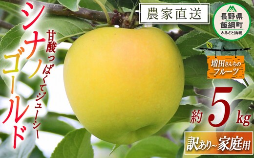 りんご シナノゴールド 家庭用 〜 訳あり 5kg 増田ファーム 沖縄県への配送不可 2026年11月上旬頃から2026年12月下旬頃まで順次発送予定 令和8年度収穫分 信州 果物 フルーツ リンゴ 林檎 長野 予約 農家直送 長野県 飯綱町 [1498]