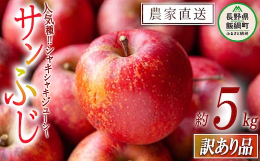 りんご サンふじ 訳あり 5kg 令和7年度収穫分 沖縄県への配送不可 2025年12月上旬頃から2025年12月下旬頃まで順次発送予定 宮本ファーム エコファーマー 減農薬栽培 長野県 飯綱町 [1521]