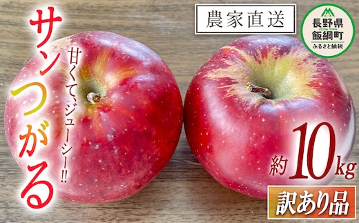りんご サンつがる 訳あり 10kg 令和8年度収穫分 沖縄県への配送不可 2026年9月上旬頃から2026年9月中旬頃まで順次発送予定 宮本ファーム エコファーマー 減農薬栽培 津軽 つがる 傷 変形 サビ あり 長野県 飯綱町 [1530]