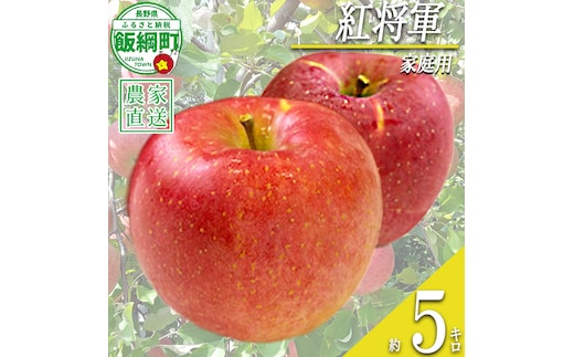 りんご 紅将軍 家庭用 5kg 永野農園 沖縄県への配送不可 2026年9月下旬頃から2026年10月上旬頃まで順次発送予定 令和8年度収穫分 信州 果物 フルーツ リンゴ 林檎 長野 予約 農家直送 長野県 飯綱町 [1556]