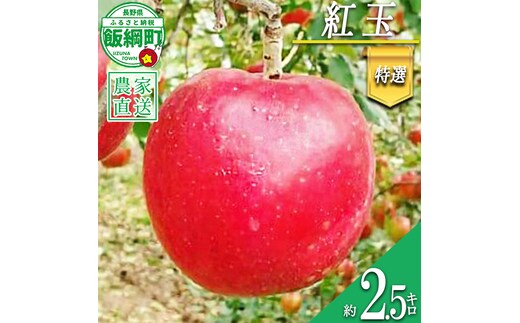 りんご 紅玉 特選 2.5kg やまじゅうファーム 沖縄県への配送不可 2026年10月上旬頃から2026年10月中旬頃まで順次発送予定 令和8年度収穫分 信州の環境にやさしい農産物 減農薬栽培 長野県 飯綱町 [1536]