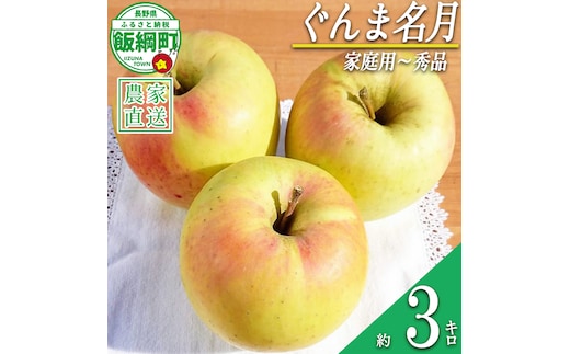 りんご ぐんま名月 家庭用 〜 秀 3kg やまじゅうファーム 沖縄県への配送不可 2026年11月下旬頃から2026年12月上旬頃まで順次発送予定 令和8年度収穫分 信州の環境にやさしい農産物 減農薬栽培 長野県 飯綱町 [1539]