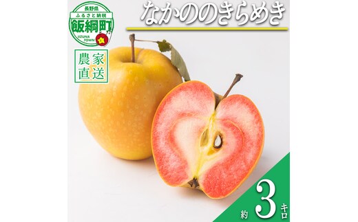 りんご なかののきらめき 3kg やまじゅうファーム 沖縄県への配送不可 2026年11月下旬頃から2026年12月中旬頃まで順次発送予定 令和8年度収穫分 信州の環境にやさしい農産物 減農薬栽培 長野県 飯綱町 [1540]