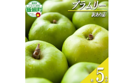 【 すっぱいりんご 】 りんご ブラムリー 訳あり 5kg 沖縄県への配送不可 クッキングアップル 2026年8月下旬頃から2026年9月下旬頃まで順次発送予定 ふるさと振興公社 リンゴ 林檎 長野県 飯綱町 [1561]