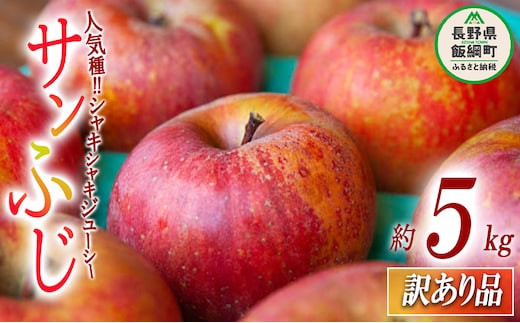 【 訳あり品 】 りんご サンふじ 訳あり 5kg 沖縄県への配送不可 2025年12月上旬頃から2026年2月下旬頃まで順次発送予定 ふるさと振興公社 林檎 リンゴ 長野県 飯綱町 [1562]