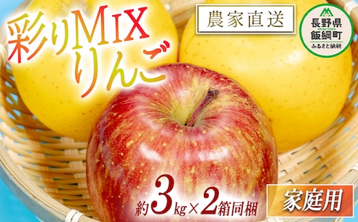 黄紅彩りMIXりんご サンふじ シナノゴールド 家庭用 3kg × 各1箱 合計 2箱 セット 大友農場 エコファーマー認定 沖縄県への配送不可 2025年12月上旬頃から2026年1月下旬頃まで順次発送予定 令和6年度収穫分 信州 果物 フルーツ リンゴ 林檎 長野 予約 農家直送 長野県 飯綱町 [1553]