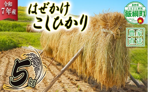 米 はぜかけ こしひかり 5kg ( 令和7年産 ) 増田ファーム 沖縄県への配送不可 2025年11月上旬頃から順次発送予定 コシヒカリ 白米 精米 お米 信州 予約 農家直送 長野県 飯綱町 [0814]