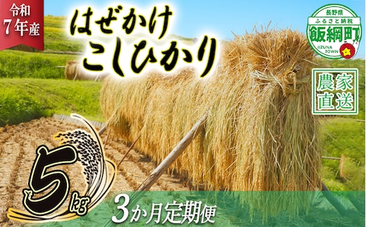 米 はぜかけ こしひかり 5kg × 3回 【 3か月 定期便 】( 令和7年産 ) 増田ファーム 沖縄県への配送不可 2025年11月上旬頃から順次発送予定 コシヒカリ 白米 精米 お米 信州 予約 農家直送 長野県 飯綱町 [0815]