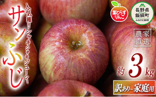 りんご 葉とらず サンふじ 家庭用 〜 訳あり 3kg フレッシュフルーツミカズキ 沖縄県への配送不可 2025年11月下旬頃から2026年1月下旬頃まで順次発送予定 令和7年度収穫分 傷 不揃い リンゴ 林檎 果物 フルーツ 信州 長野 12000円 予約 農家直送 長野県 飯綱町 [1667]