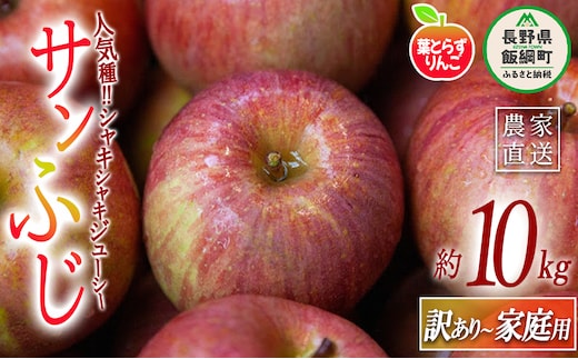 りんご 葉とらず サンふじ 家庭用 〜 訳あり 10kg フレッシュフルーツミカズキ 2025年11月下旬頃から2026年1月下旬頃まで順次発送予定 令和7年度収穫分 傷 不揃い リンゴ 林檎 果物 フルーツ 信州 長野 28500円 予約 農家直送 長野県 飯綱町 [1669]