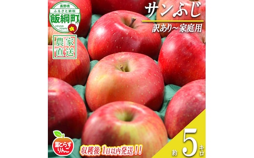 【 フレッシュ便 / 採れたて発送 】 りんご 葉とらず サンふじ 訳あり 5kg フレッシュフルーツミカズキ 2026年11月中旬頃から2026年11月下旬頃まで順次発送予定 令和8年度収穫分 傷 不揃い リンゴ 林檎 果物 フルーツ 信州 長野 予約 農家直送 長野県 飯綱町 [1674]