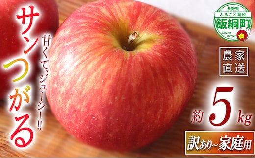 りんご サンつがる 訳あり ～ 家庭用 5kg マルハ農園 沖縄県への配送不可 2026年9月上旬頃から2026年9月中旬頃まで順次発送予定 令和8年度収穫分 エコファーマー認定 信州 果物 フルーツ リンゴ 林檎 長野 予約 農家直送 長野県 飯綱町 [1620]