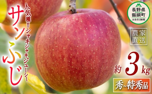 りんご サンふじ 秀 〜 特秀 3kg マルハ農園 沖縄県への配送不可 2025年12月上旬頃から2025年12月下旬頃まで順次発送予定 令和7年度収穫分 エコファーマー認定 信州 果物 フルーツ リンゴ 林檎 長野 13000円 予約 農家直送 長野県 飯綱町 [1636]