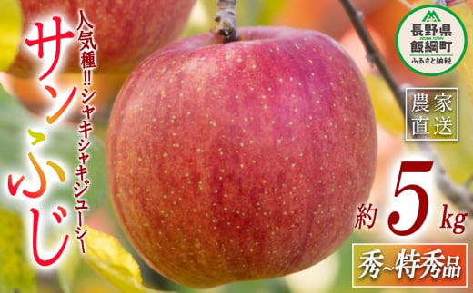 りんご サンふじ 秀 〜 特秀 5kg マルハ農園 沖縄県への配送不可 2025年12月上旬頃から2025年12月下旬頃まで順次発送予定 令和7年度収穫分 エコファーマー認定 信州 果物 フルーツ リンゴ 林檎 長野 19500円 予約 農家直送 長野県 飯綱町 [1637]