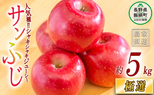 りんご サンふじ 極選 5kg マルハ農園 2025年12月上旬頃から2025年12月下旬頃まで順次発送予定 令和7年度収穫分 エコファーマー認定 信州 果物 フルーツ リンゴ 林檎 長野 21500円 予約 農家直送 長野県 飯綱町 [1639]