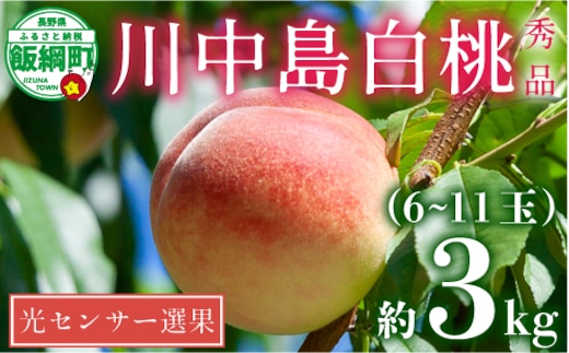 【 2026年 先行予約 】 桃 川中島白桃 3kg 秀品 光センサー選別品 糖度保証 【 予約 果物 くだもの もも モモ フルーツ 旬 長野 信州 川中島 】 沖縄県への配送不可 2026年8月下旬頃から2026年9月上旬頃まで順次発送予定 日時指定不可 令和8年度出荷分 長野県 飯綱町 [1718]