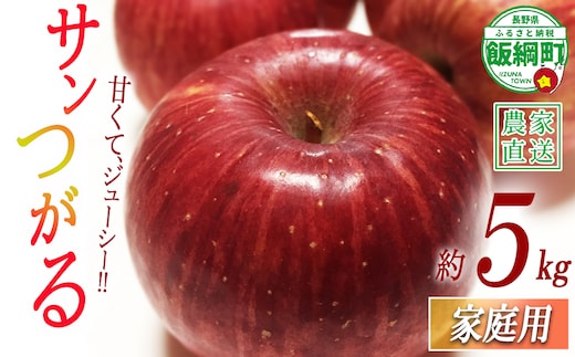 りんご サンつがる 家庭用 5kg 沖縄県への配送不可 2026年9月上旬から2026年9月中旬まで順次発送予定 令和8年度収穫分 静谷りんご園 減農薬栽培 信州の環境にやさしい農産物認証 長野県 飯綱町 [1788]