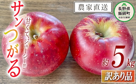 りんご サンつがる 訳あり 5kg 令和8年度収穫分 沖縄県への配送不可 2026年9月上旬頃から2026年9月中旬頃まで順次発送予定 宮本ファーム エコファーマー 減農薬栽培 津軽 つがる 傷 変形 サビ あり 長野県 飯綱町 [1789]