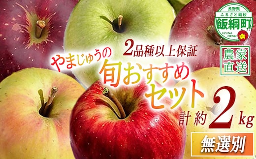 りんご 2品種以上保証 旬のおすすめ 2kg 詰め合わせ セット やまじゅうファーム 沖縄県への配送不可 2026年10月上旬頃から2026年12月下旬頃まで順次発送予定 令和8年度収穫分 信州の環境にやさしい農産物 減農薬栽培 長野県 飯綱町 [1799]
