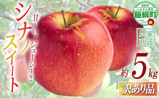 りんご シナノスイート 訳あり 5kg 渡辺農園 沖縄県への配送不可 2026年10月中旬頃から2026年10月下旬頃まで順次発送予定 令和8年度収穫分 エコファーマー認定 減農薬栽培 長野県 飯綱町 [1796]
