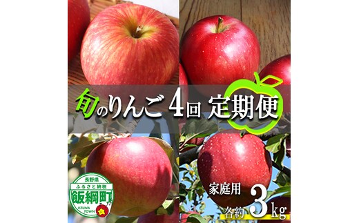 旬のりんご 【 定期便 】 家庭用 3kg × 4回 ファームたんぽぽ 沖縄県への配送不可 2026年9月上旬頃から2026年12月中旬頃まで順次発送予定 令和8年度収穫分 信州 果物 フルーツ リンゴ 林檎 長野 予約 農家直送 長野県 飯綱町 [1822]