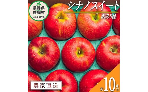 りんご シナノスイート 訳あり 10kg 原山農園 沖縄県への配送不可 2026年10月中旬頃から2026年11月上旬頃まで順次発送予定 令和8年度収穫分 信州 果物 フルーツ リンゴ 林檎 長野 予約 農家直送 長野県 飯綱町 [1824]
