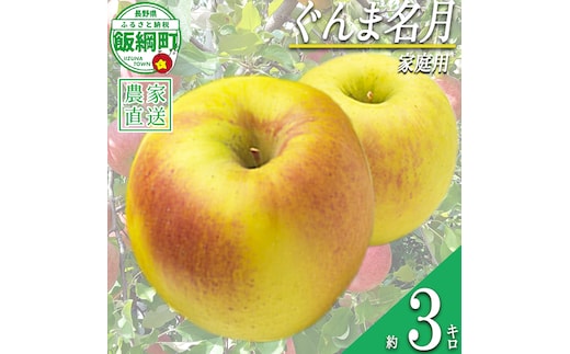 りんご ぐんま名月 家庭用 3kg 永野農園 沖縄県への配送不可 2026年11月上旬頃から2026年11月下旬頃まで順次発送予定 令和8年度収穫分 信州 果物 フルーツ リンゴ 林檎 長野 予約 農家直送 長野県 飯綱町 [1557]
