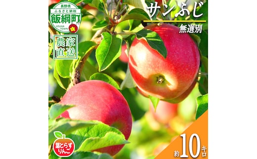 りんご サンふじ 葉とらず 無選別 10kg エバラ農園 減農薬栽培 2026年11月中旬頃から2027年1月上旬頃まで順次発送予定 令和8年度収穫分 信州 果物 フルーツ リンゴ 林檎 長野 予約 農家直送 長野県 飯綱町 [1818]