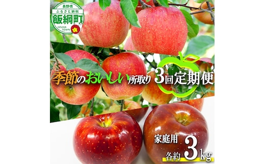 季節のおいしい所取りりんご 【 定期便 】 家庭用 3kg × 3回 大友農場 エコファーマー認定 沖縄県への配送不可 2026年8月中旬頃から2026年12月下旬頃まで順次発送予定 令和8年度収穫分 信州 果物 フルーツ リンゴ 林檎 長野 予約 農家直送 長野県 飯綱町 [1839]