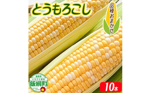【 厳選品種 】 とうもろこし 10本 （ 品種おまかせ ） 配送先は本州限定 ふるさと振興公社 2026年8月下旬頃から2026年9月上旬頃まで順次発送予定 信州 トウモロコシ コーン ゴールドラッシュ ミルフィーユ グラビス ピーターコーン ハニーバンタム 長野県 飯綱町 [1841]