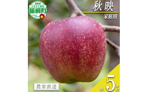 りんご 秋映 家庭用 5kg 永正の地蔵尊神谷農園 沖縄県への配送不可 2026年10月上旬頃から2026年12月上旬頃まで順次発送予定 令和8年度収穫分 信州 果物 フルーツ リンゴ 林檎 長野 予約 農家直送 長野県 飯綱町 [1863]