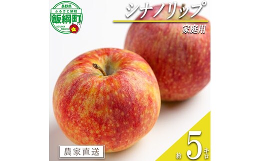 りんご シナノリップ 家庭用 5kg 信州いいづな 相澤農園株式会社 2026年8月中旬頃から2026年9月上旬頃まで順次発送予定 令和8年度収穫分 長野県 飯綱町 [1846]