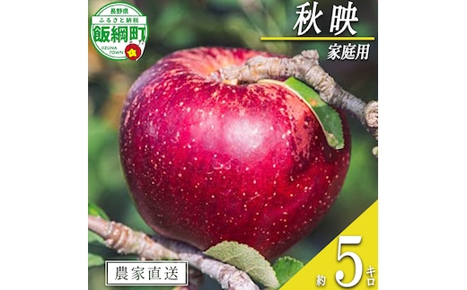 りんご 秋映 家庭用 5kg 信州いいづな 相澤農園株式会社 沖縄県への配送不可 2026年9月下旬頃から2026年10月中旬頃まで順次発送予定 令和8年度収穫分 長野県 飯綱町 [1851]