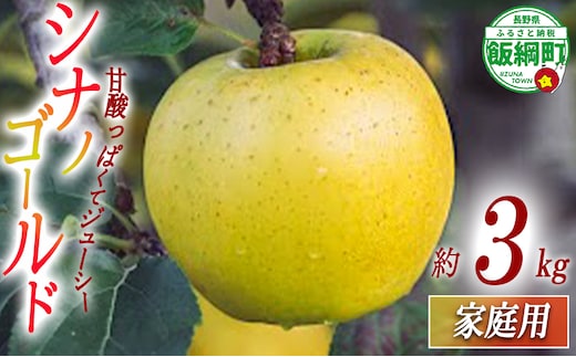 りんご シナノゴールド 家庭用 3kg 相澤農園 2025年11月上旬頃から2026年2月上旬頃まで順次発送予定 沖縄県への配送不可 令和7年度収穫分 長野県 飯綱町 [1852]
