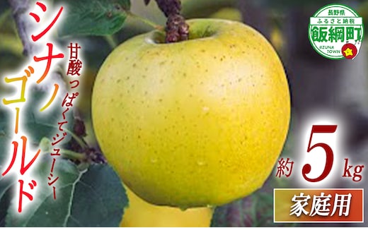 りんご シナノゴールド 家庭用 5kg 相澤農園 2025年11月上旬頃から2026年2月上旬頃まで順次発送予定 沖縄県への配送不可 令和7年度収穫分 長野県 飯綱町 [1853]