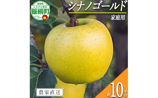 りんご シナノゴールド 家庭用 10kg 信州いいづな 相澤農園株式会社 2026年11月上旬頃から2027年2月上旬頃まで順次発送予定 令和8年度収穫分 長野県 飯綱町 [1854]