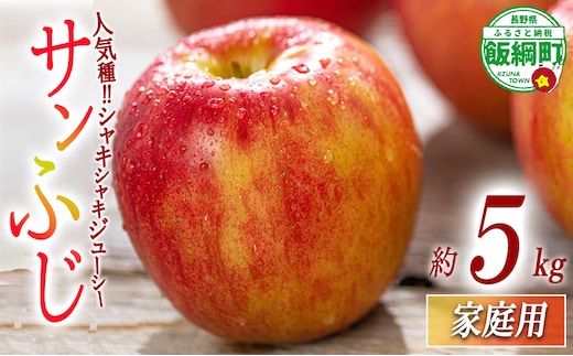 りんご サンふじ 家庭用 5kg 相澤農園 2025年11月中旬頃から2026年2月上旬頃まで順次発送予定 沖縄県への配送不可 令和7年度収穫分 長野県 飯綱町 [1856]