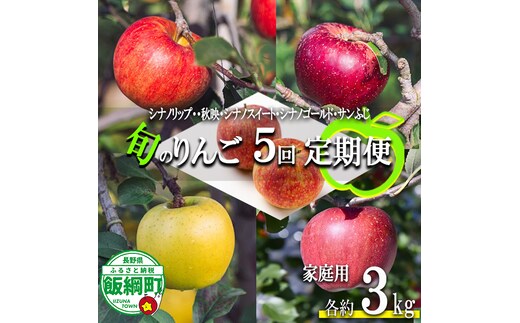 旬のりんご 【 定期便 】 家庭用 3kg × 5回 信州いいづな 相澤農園株式会社 沖縄県への配送不可 2026年9月上旬頃から2026年12月中旬頃まで順次発送予定 令和8年度収穫分 長野県 飯綱町 [1858]