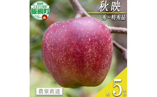 りんご 秋映 秀 〜 特秀 5kg 永正の地蔵尊神谷農園 沖縄県への配送不可 2026年10月上旬頃から2026年12月上旬頃まで順次発送予定 令和8年度収穫分 信州 果物 フルーツ リンゴ 林檎 長野 予約 農家直送 長野県 飯綱町 [1861]