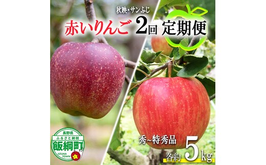 赤いりんご 【 定期便 】 秀 ～ 特秀 5kg × 2回 永正の地蔵尊神谷農園 沖縄県への配送不可 2026年10月上旬頃から2026年12月中旬頃まで順次発送予定 令和8年度収穫分 信州 果物 フルーツ リンゴ 林檎 長野 予約 農家直送 長野県 飯綱町 [1864]