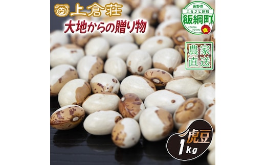 信州産 豆 虎豆 1000g 1kg 上倉荘 沖縄県への配送不可 2026年10月中旬頃から2026年11月下旬頃まで順次発送予定 信州 お豆 まめ マメ 野菜 長野県 飯綱町 [1859]